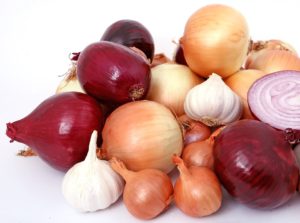 Přírodní antibiotikum