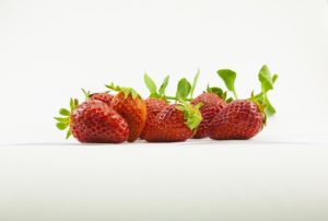 Jak pěstovat ovoce tak, abychom se vyhnuli škůdcům a nemocem?