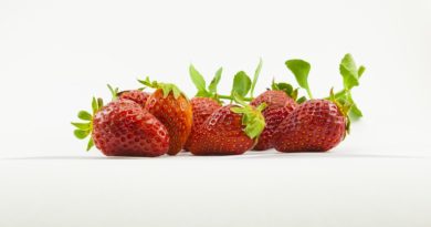 Jak pěstovat ovoce tak, abychom se vyhnuli škůdcům a nemocem?