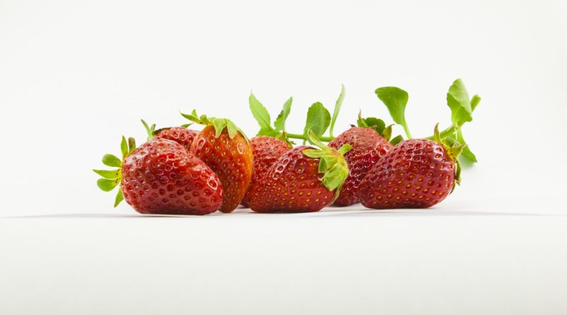 Jak pěstovat ovoce tak, abychom se vyhnuli škůdcům a nemocem?